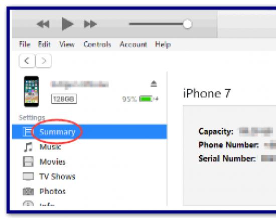 IPhone Data Recovery — программа для восстановления потерянных или удаленных данных на iPhone Восстановление информации с айфона